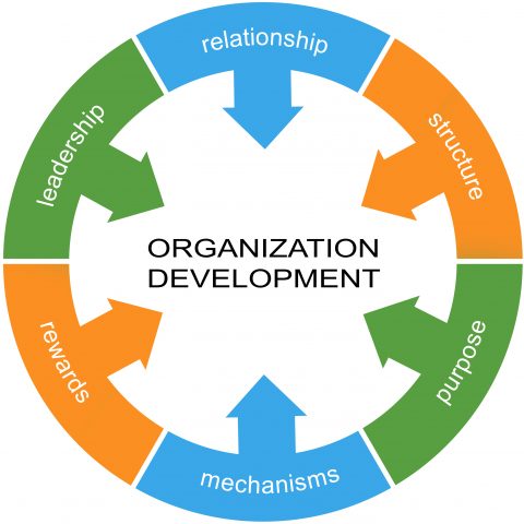 Organizational Development Fundamentals Training - Tonex Training